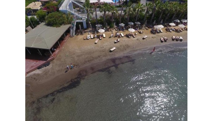 Golden Beach Resort & Spa poza 9