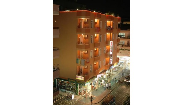 Hotel Ergun poza 0