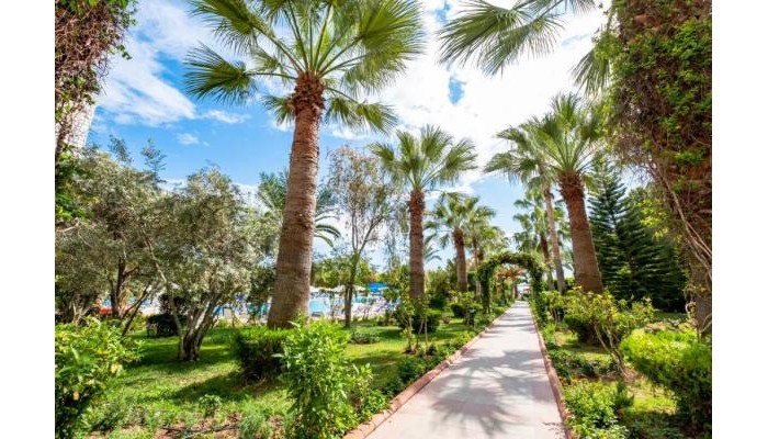 Hotel Calido Sol (Ex Stella Beach) poza 4