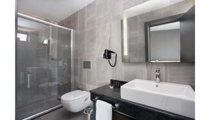 Hotel Falcon 1511 poza 2