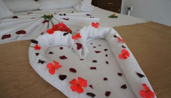 Family Belvedere Hotel poza 8