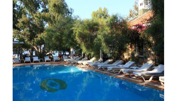 Hotel Okaliptus poza 0