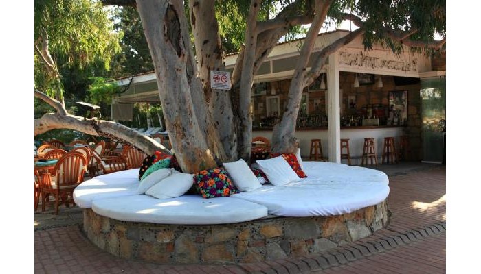 Hotel Okaliptus poza 2