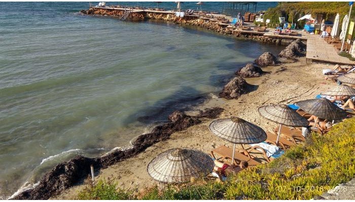 Babaylon Hotel poza 10