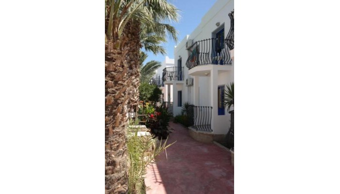 Dilek Apartments poza 13