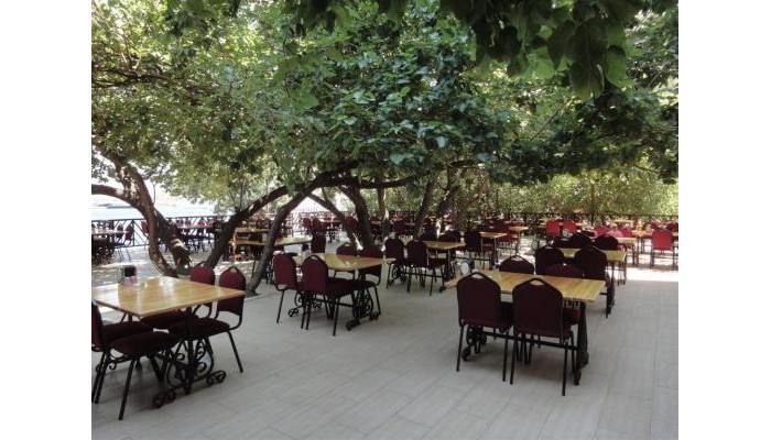 Hotel Golmar Beach poza 6