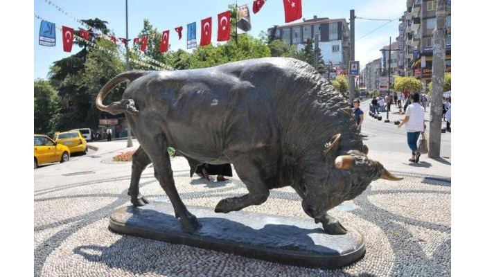 Hotel Ayyildizlar Otel poza 4