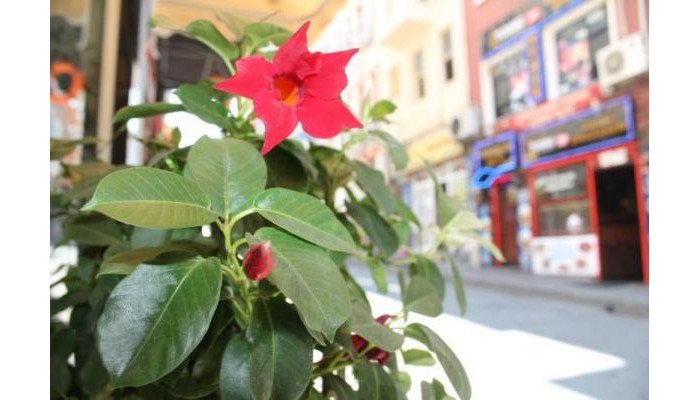 Hotel Ayyildizlar Otel poza 2