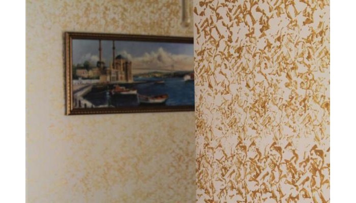 Istanbul Dedem Hotel poza 6