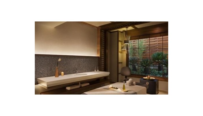 Radisson Blu Hotel And Spa, Istanbul Tuzla poza 12