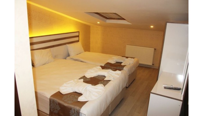 Theodian Hotel poza 5