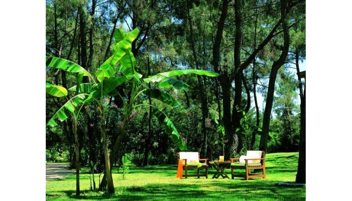 Hotel Marti Myra poza 8