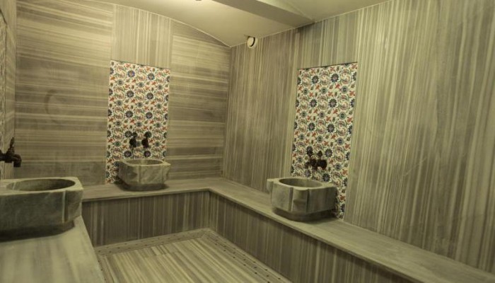 Hotel Palm poza 12