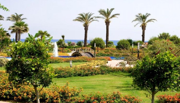 Miracle Resort poza 16