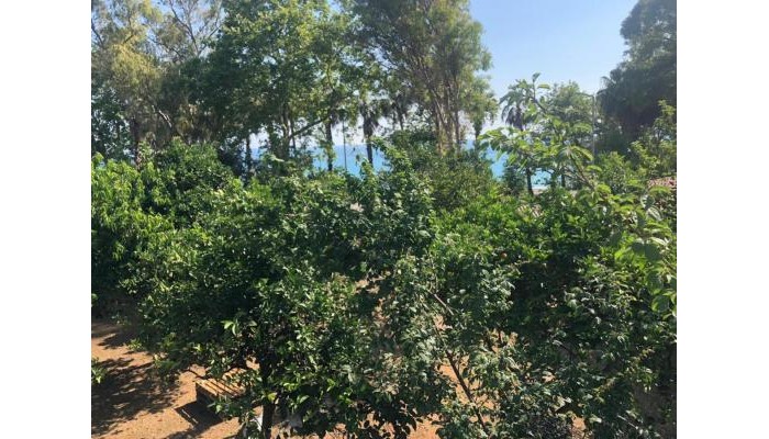 Hotel Aroma Butik poza 30