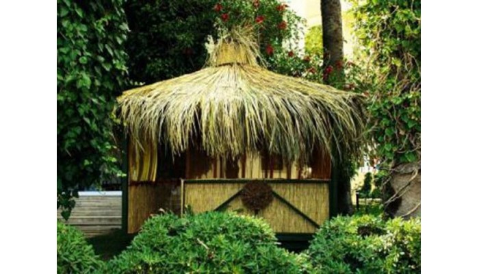 Hotel Ideal Prime Beach poza 6