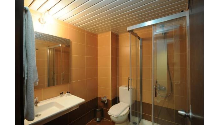 Palmea Hotel poza 4