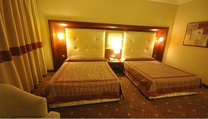 Hotel Pineta Park Deluxe poza 9